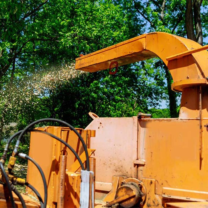 Americus Tree & Landscape Design Arborist Services